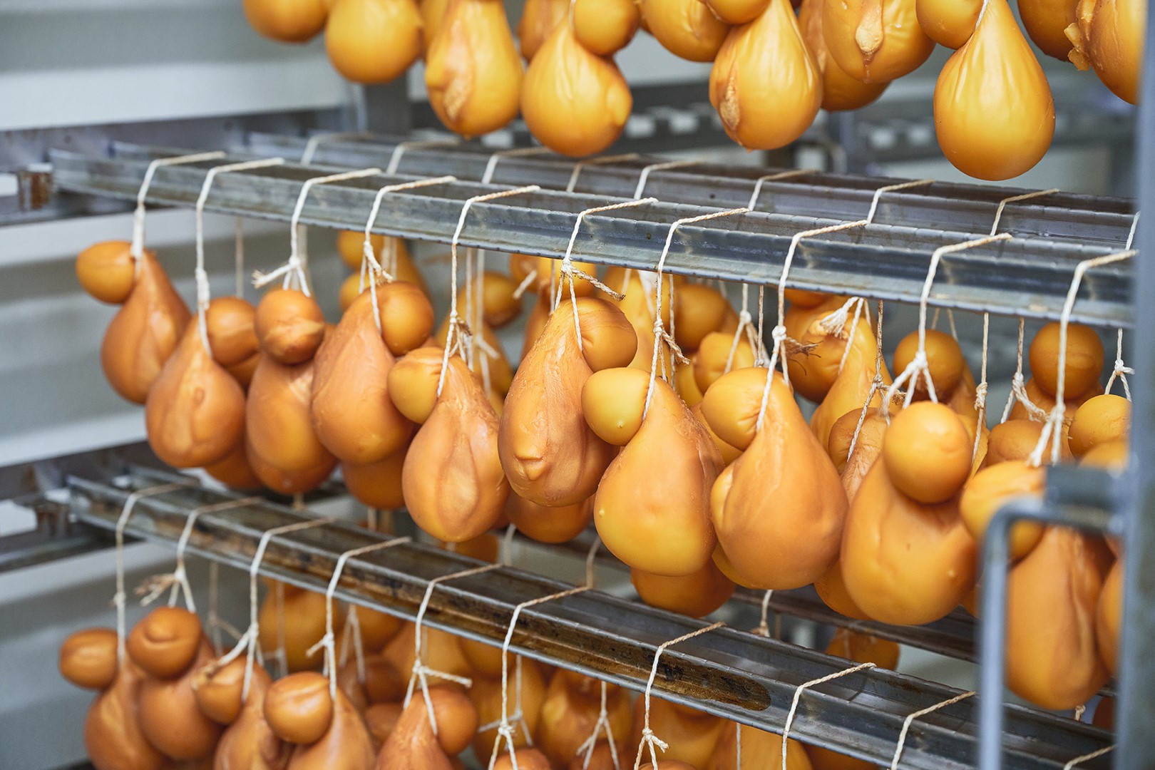 Press release cheese, 2