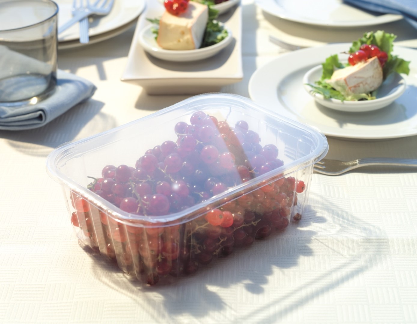 PerfoLid fruit & vegetables header