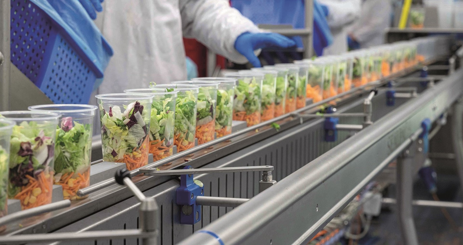 DUO fruit & vegetables header