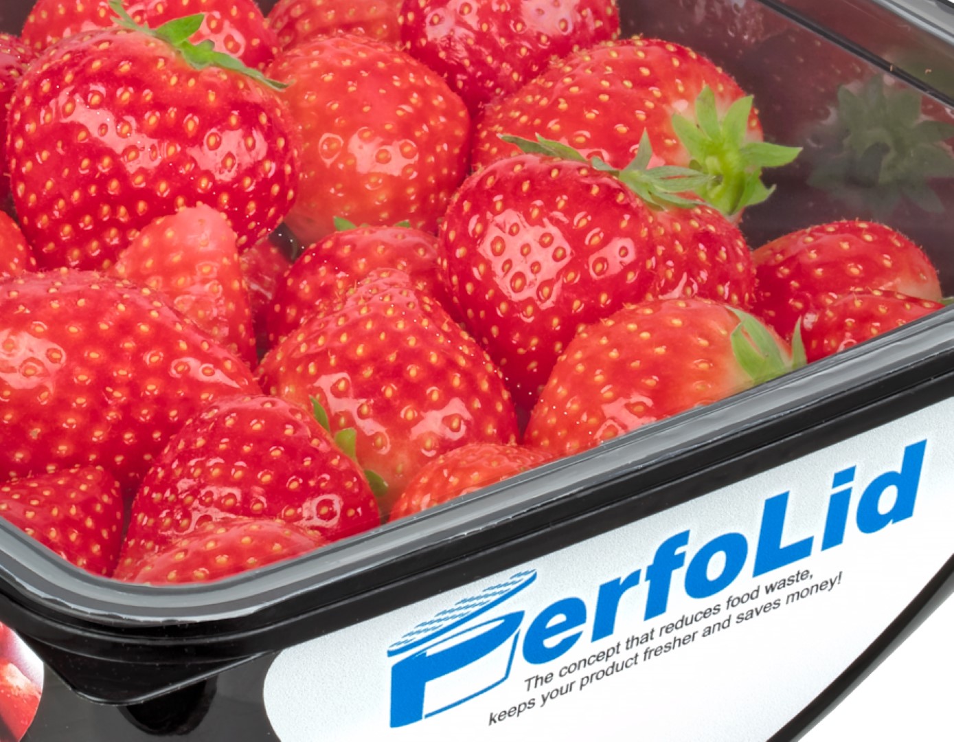 PerfoLid fruit & vegetables