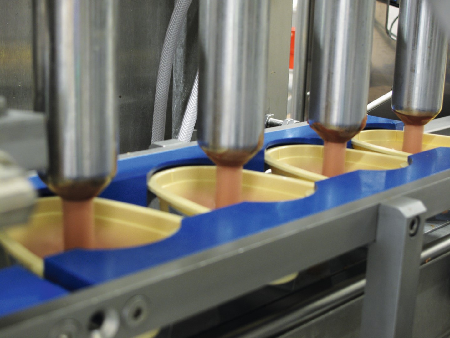 Testimonal processed meat