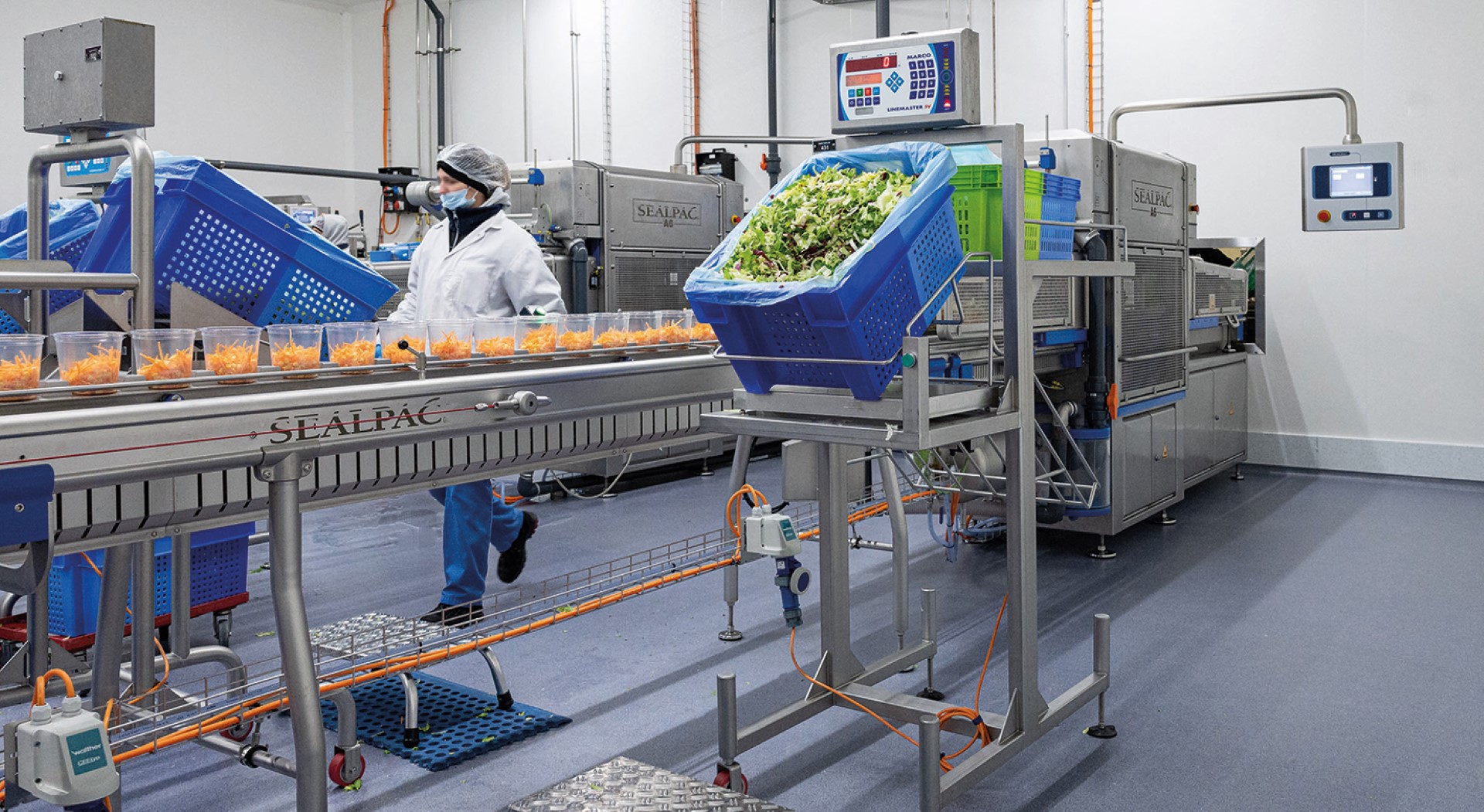 Testimonal fruit & vegetables