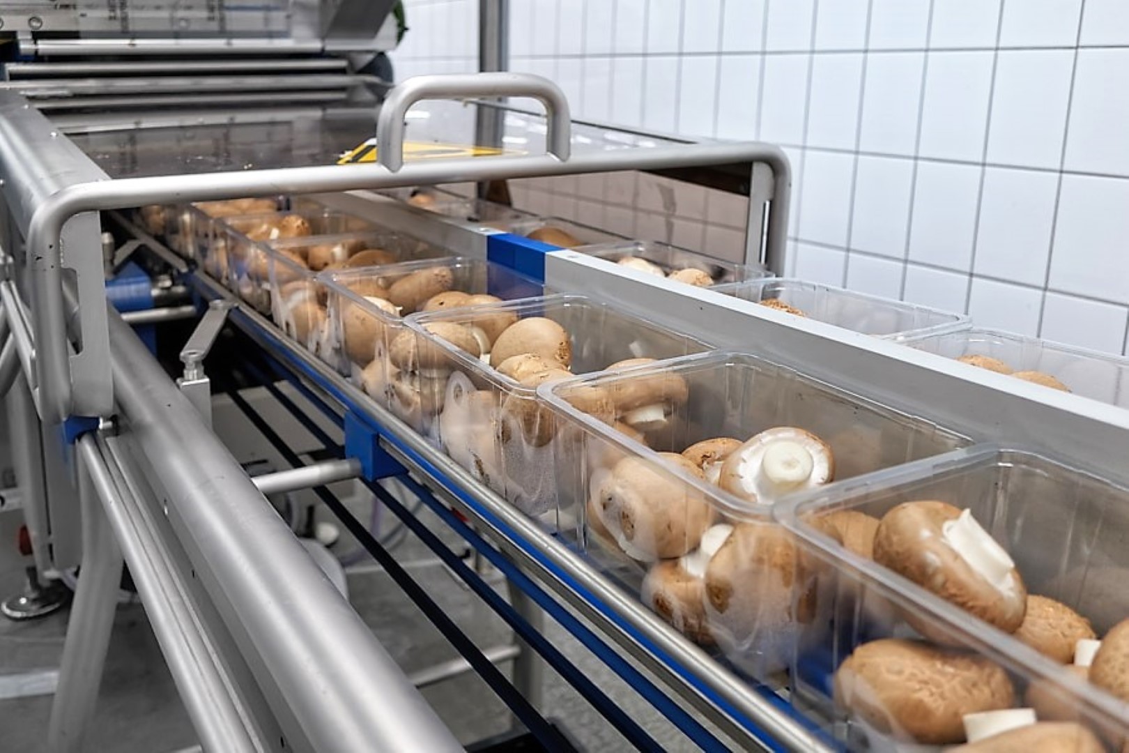 Testimonial fruit & vegetables