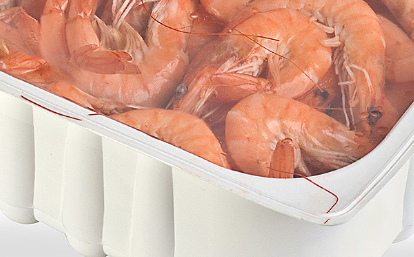 Gamba Packaging seafood
