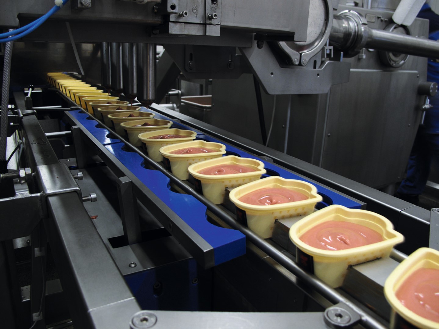 Testimonal processed meat