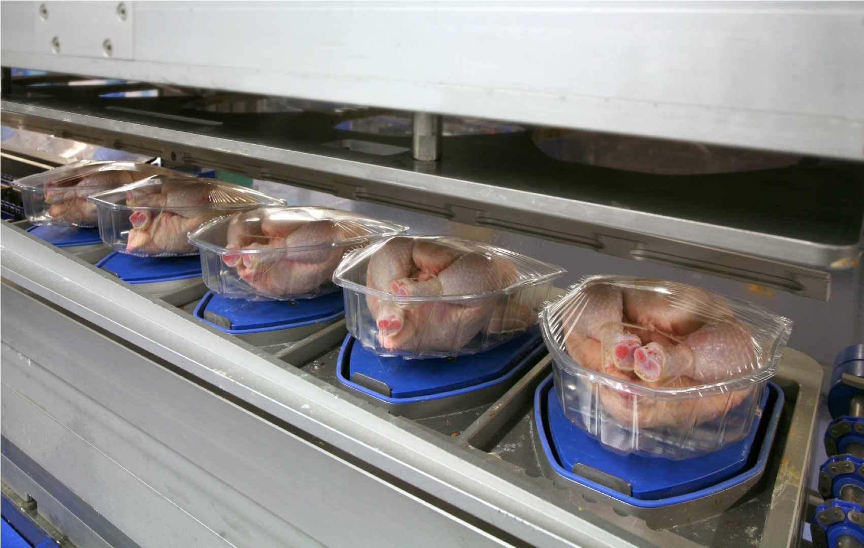 StretchMap poultry header