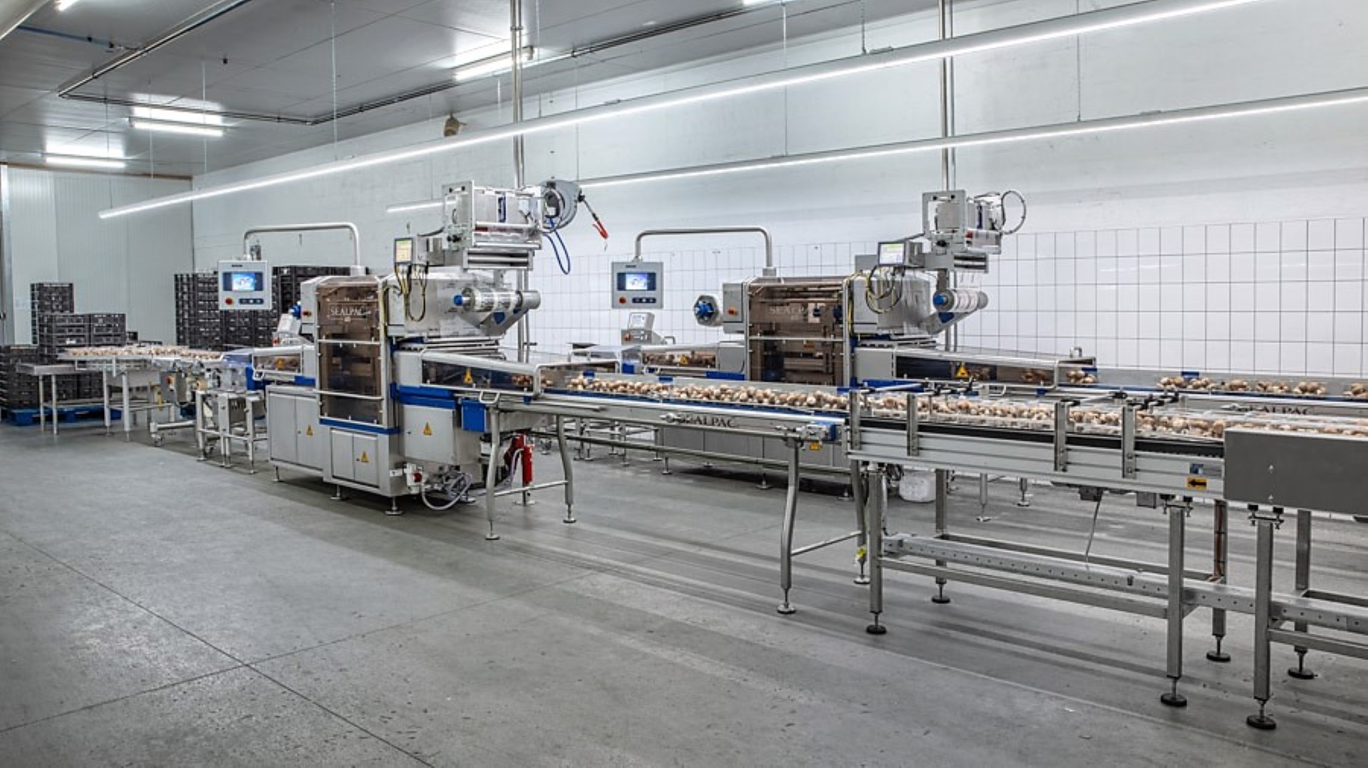 Testimonal fruit & vegetables