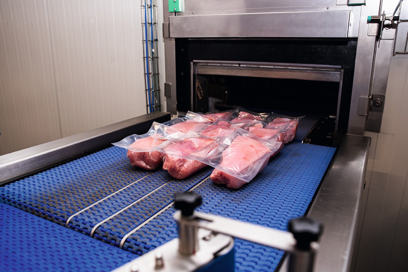 Case study F-series at Bell Food Group, 1