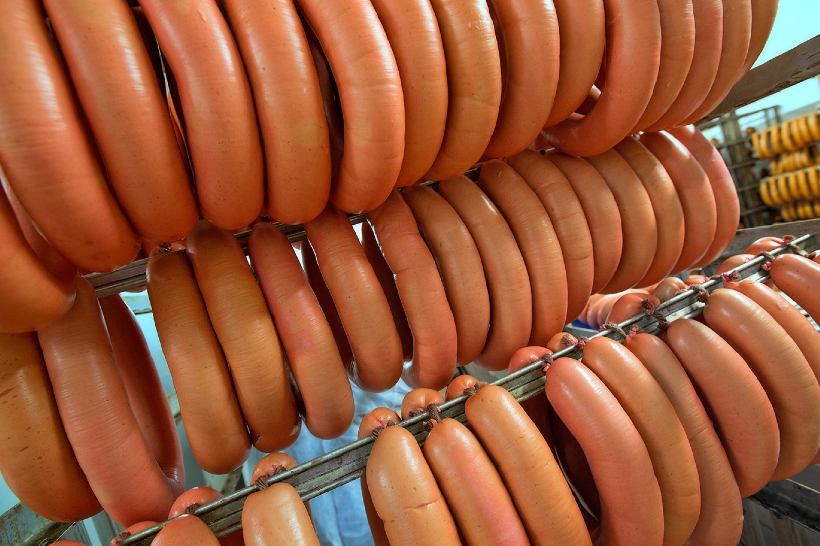 Testimonal processed meat