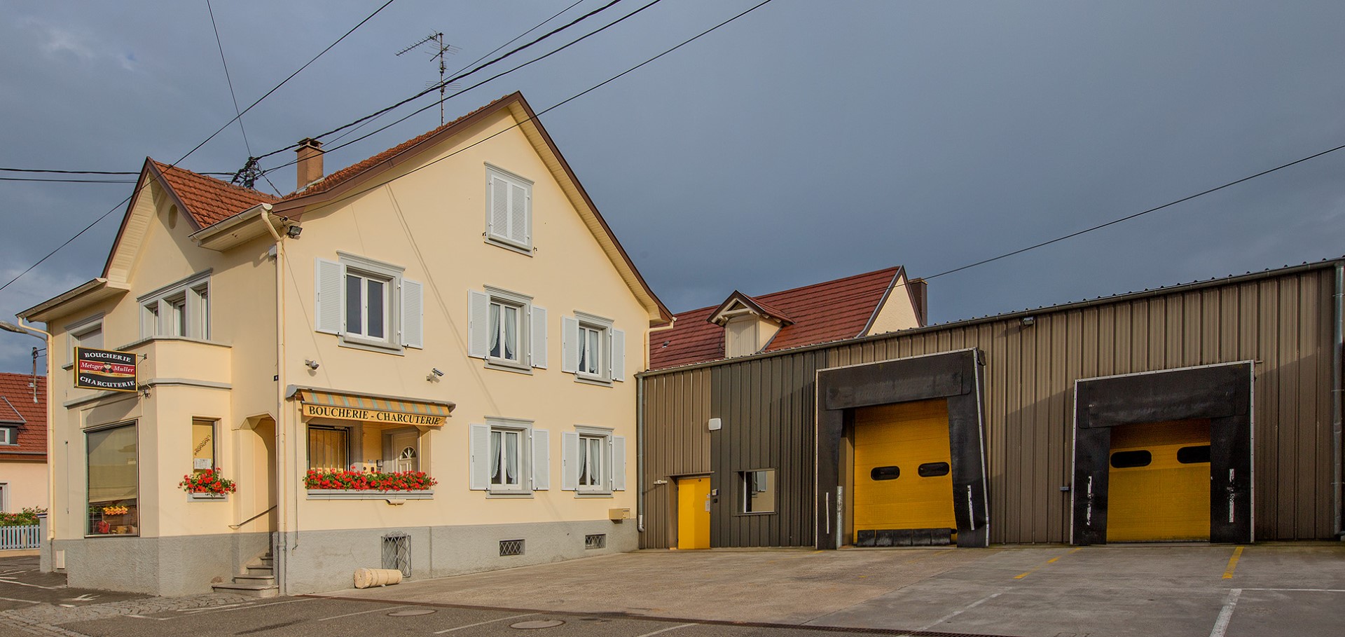 Testimonal processed meat