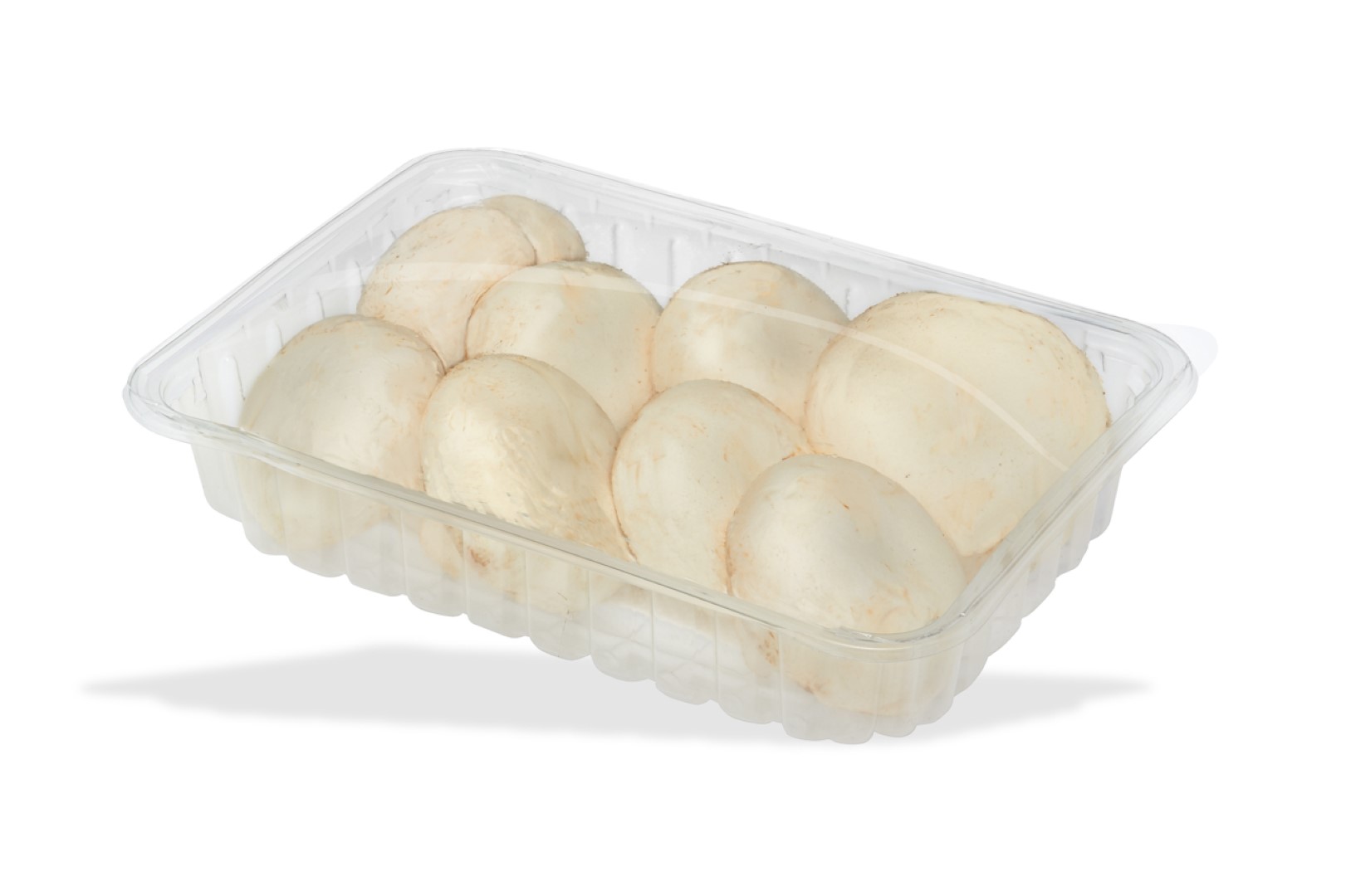 StretchMap fruit & vegetables